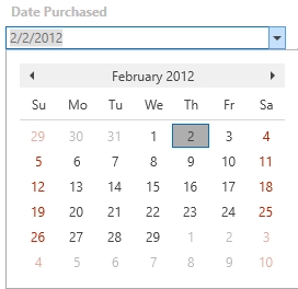 Date Selector