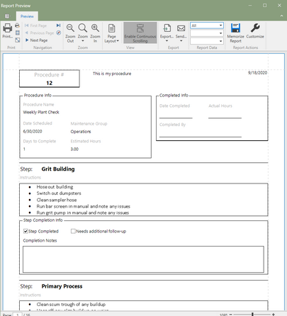 Procedure Report (Click to Enlarge)